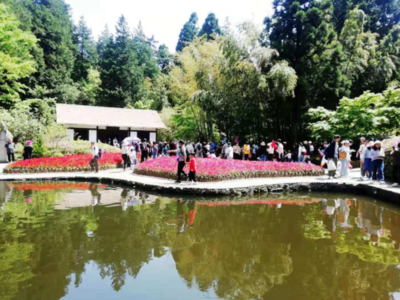 小長假前三天，廬山游客接待量創(chuàng)今年新高，景區(qū)管理舉措成效顯著