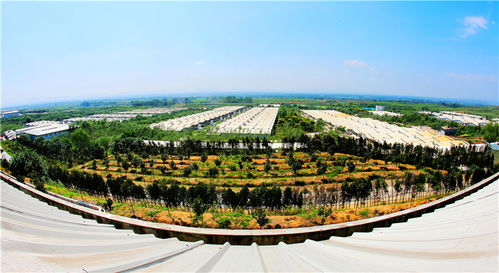 謀定后動譜華章，氣勢如虹唱大風(fēng) 論新時代景區(qū)管理的智慧與氣魄